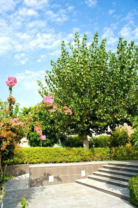 Alfa Hotel Apartments Gerani  Bagian luar foto